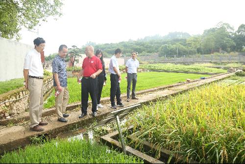 農業農村部科技發展中心調研祁陽站 聚焦前沿，共促農業技術創新發展