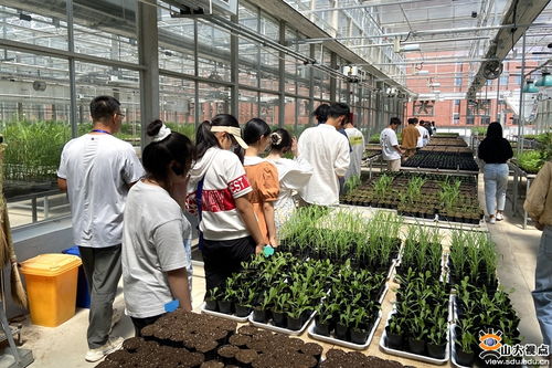 生命科學與微生物技術研究院師生深入青島清原農冠，共探農業科技前沿