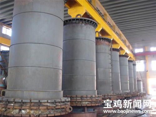 寶鈦集團總經理雷讓岐 以盛會為契機，以技術開發驅動企業更高質量發展