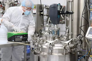 益生菌命名或將更新，噬菌體療法獲歐盟重磅資助引領技術突破